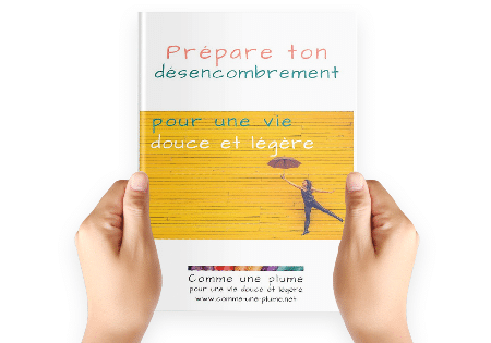 Guide Prépare ton désencombrement - Visuel - Comme une plume, accompagnement au désencombrement pour une vie douce et légère